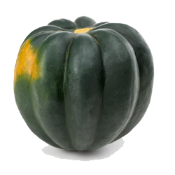 Acorn Squash