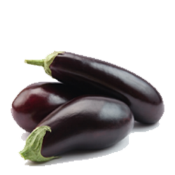 Eggplant