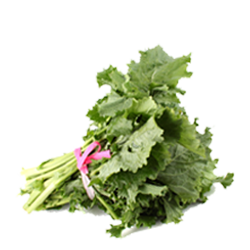 Green Rapini