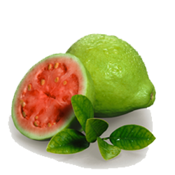 Guava