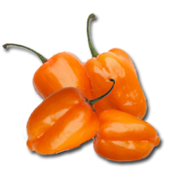 Habaneros