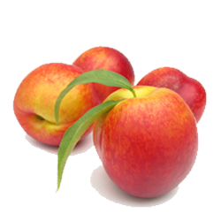 Nectarines