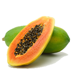 Papaya