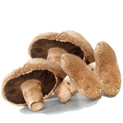 Portobello Mushrooms