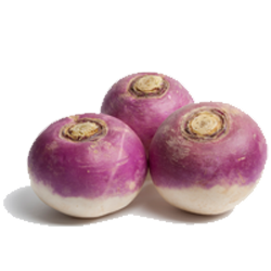 Purple Headed Turnips