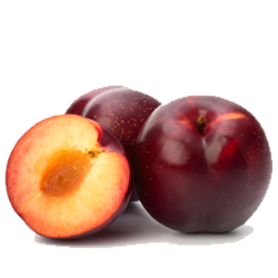 Red Plum