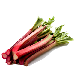 Rhubarb