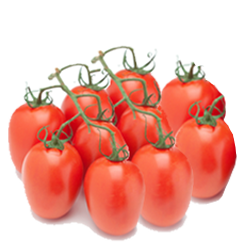 Roma Tomatoes