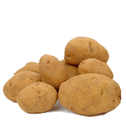 Russet Potatoes