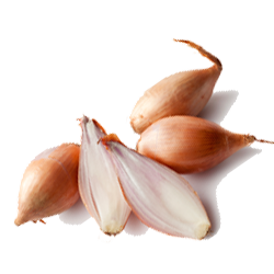 Shallots