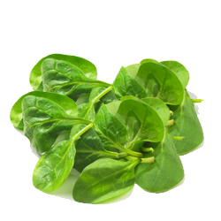 Spinach